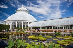 New York Botanical Garden